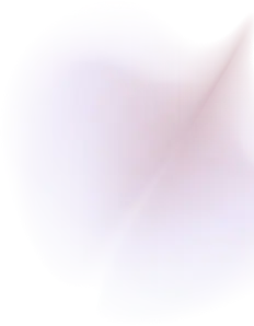 A single light pink rose petal, isolated on a white background.